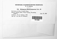Image Associated With the Occurence